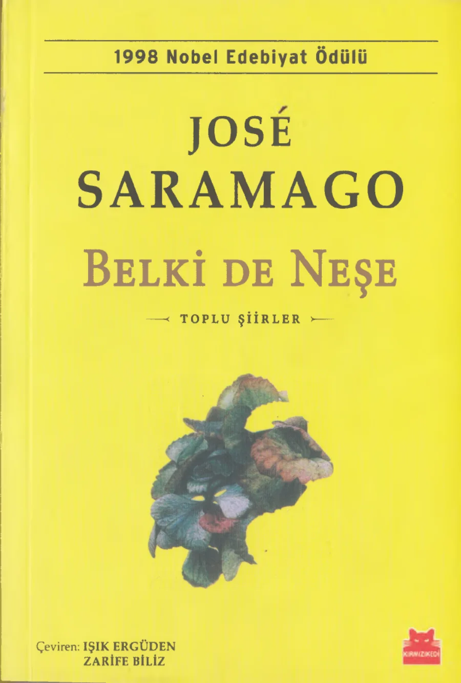 Belki De Neşe kitap kapağı