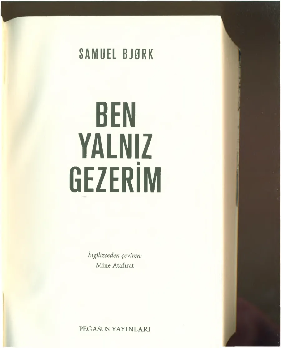 Ben Yalnız Gezerim kapak görseli