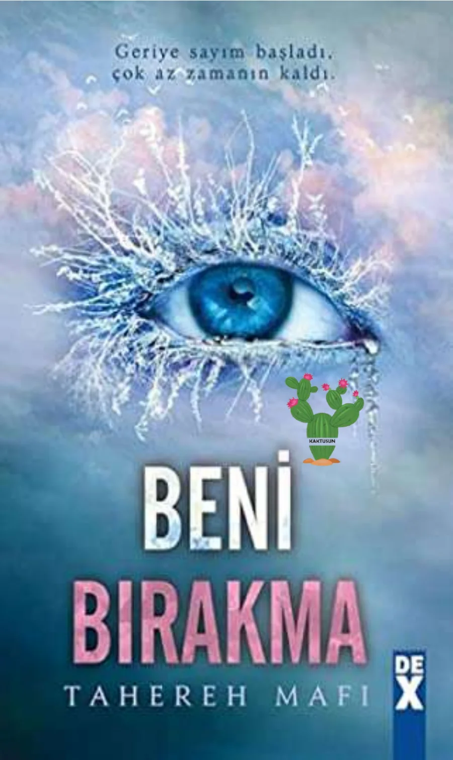 Beni Bırakma kapak görseli