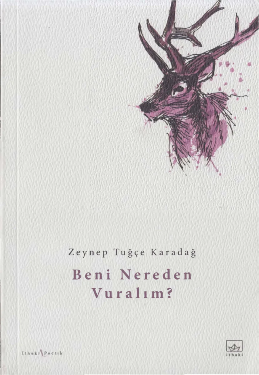 Beni Nereden Vuralım kapak görseli