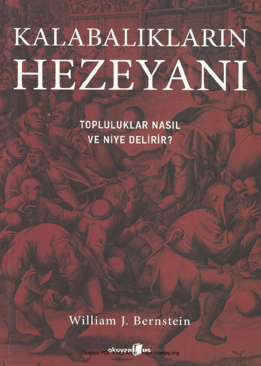 Bernstein Kalabalıkların Hezeyanı kapak görseli