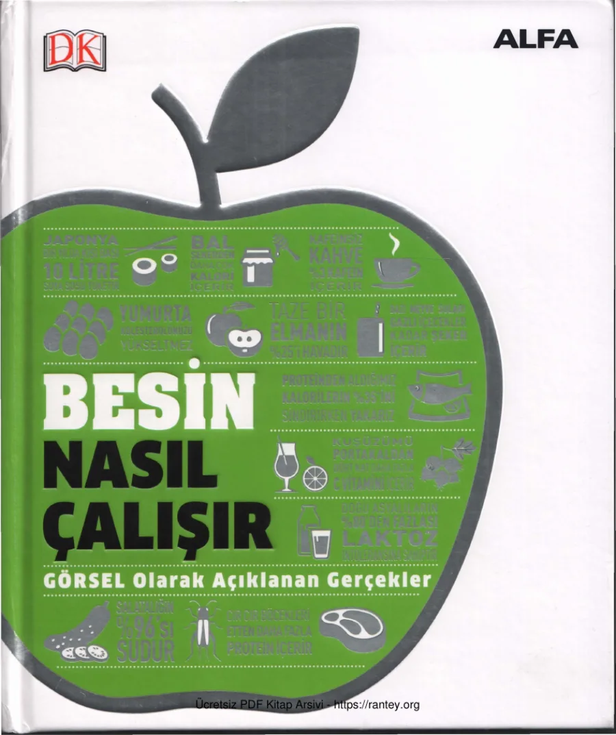 Besin Nasıl Çalışır kapak görseli