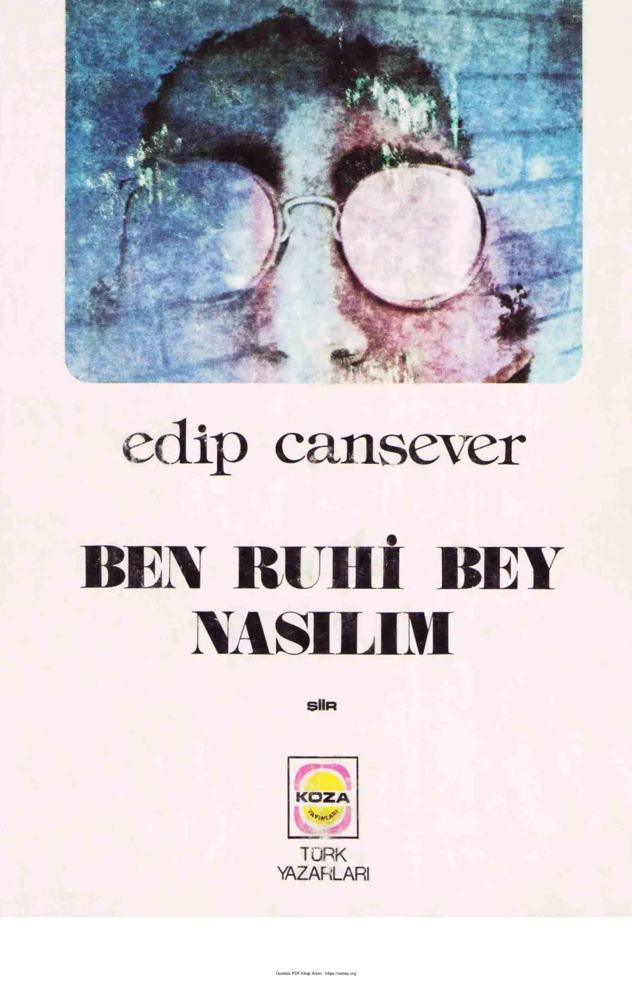 Bey Nasilim Edip Cansever 2001 117s kapak görseli