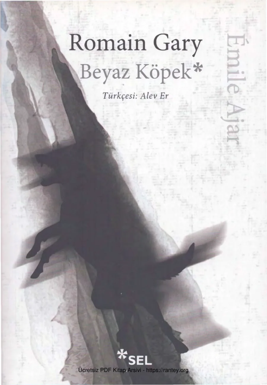 Beyaz Köpek kapak görseli