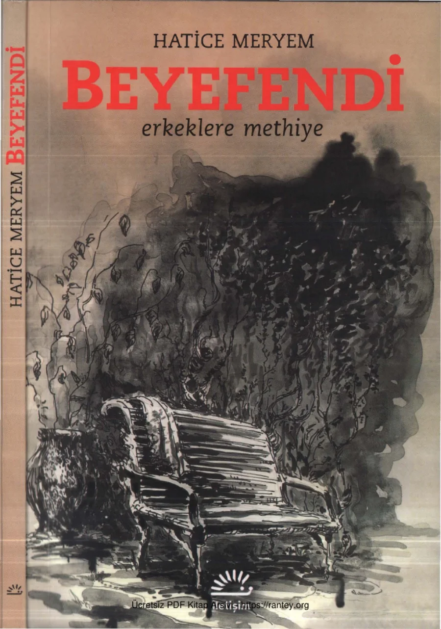 Beyefendi kapak görseli