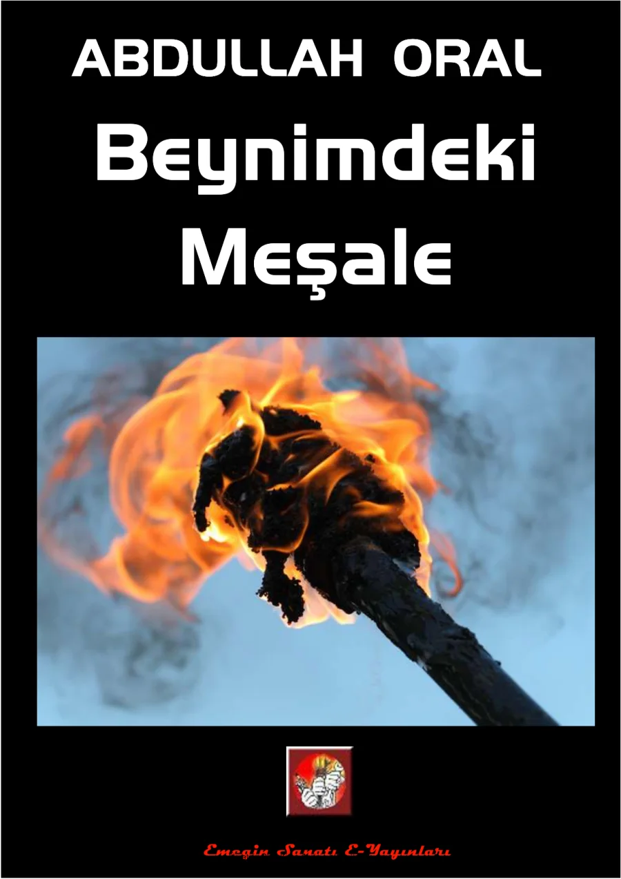 Beynimdeki Meşale kapak görseli