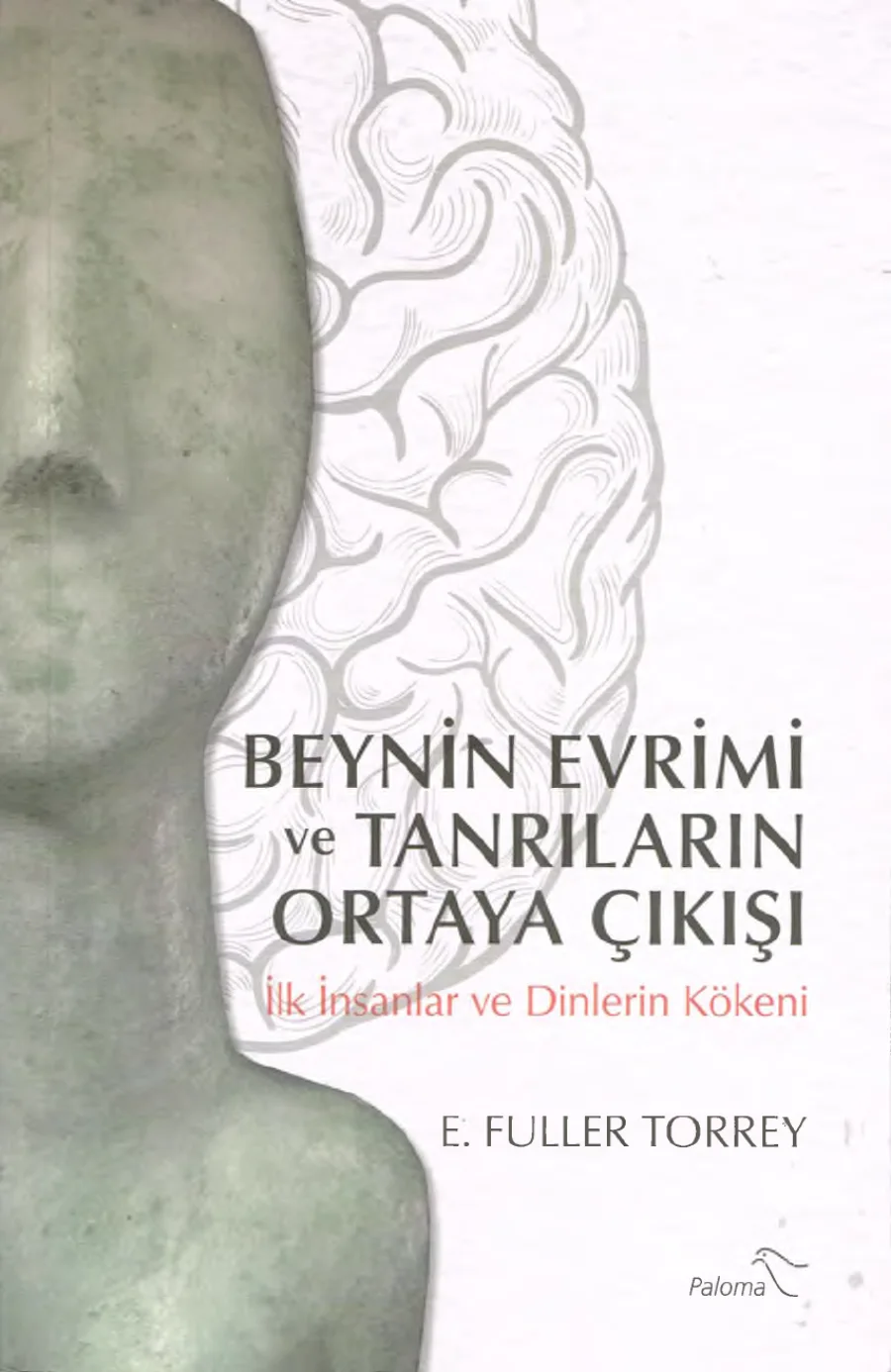 Beynin Evrimi ve Tanrıların Ortaya Çıkışı PDF kapak görseli