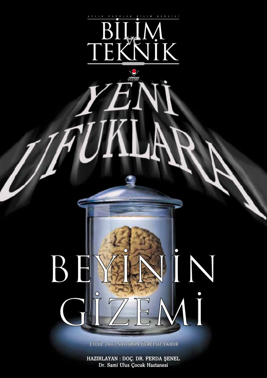 Beynin Gizemi kapak görseli