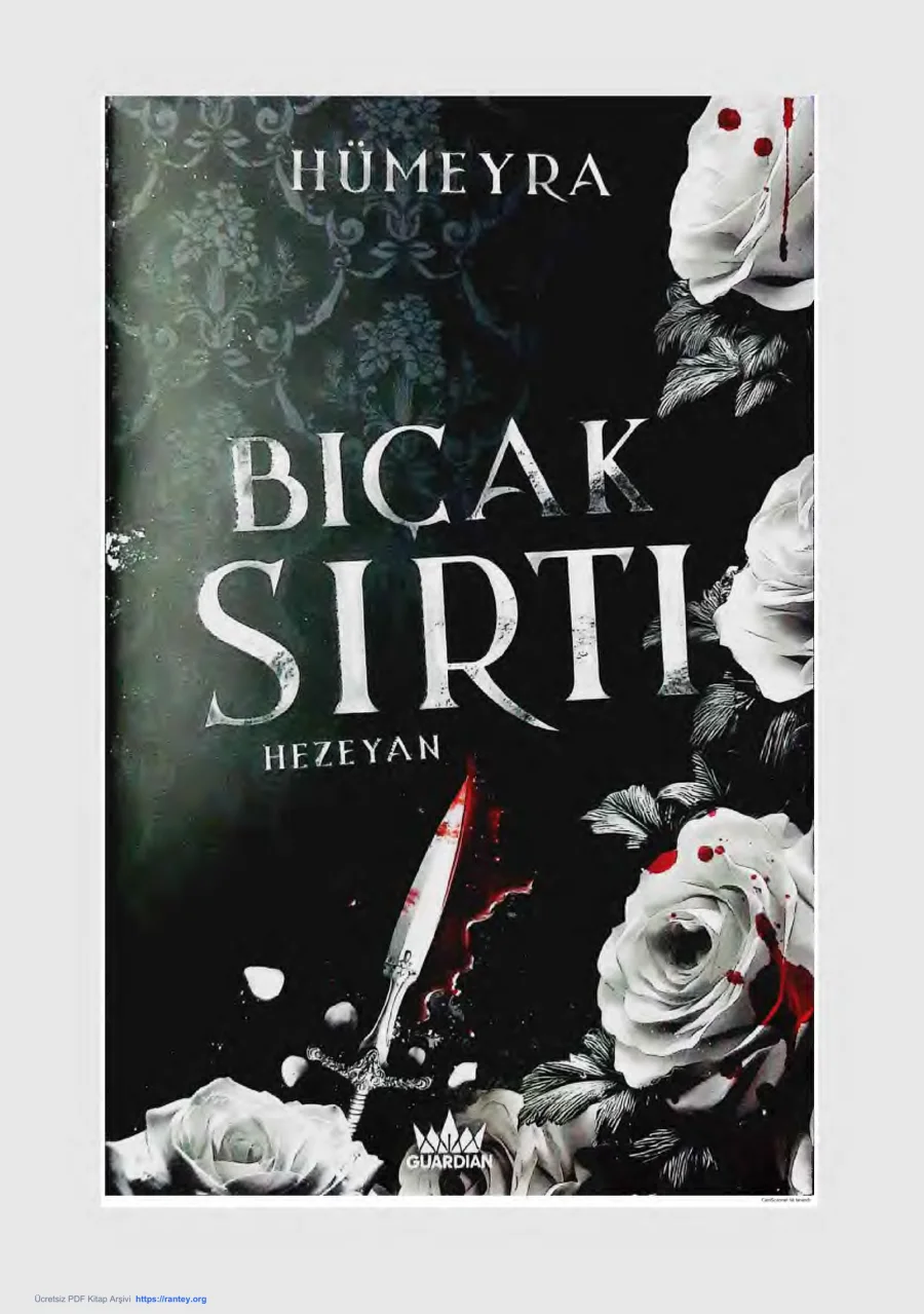 Bıçak Sırtı 2: Hezeyan kapak görseli