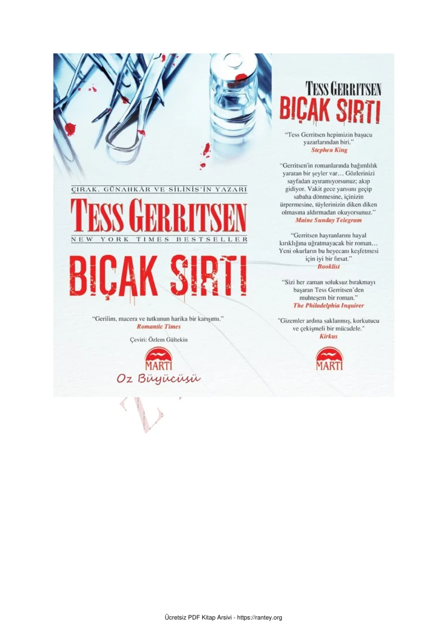 Bıçak Sırtı kapak görseli