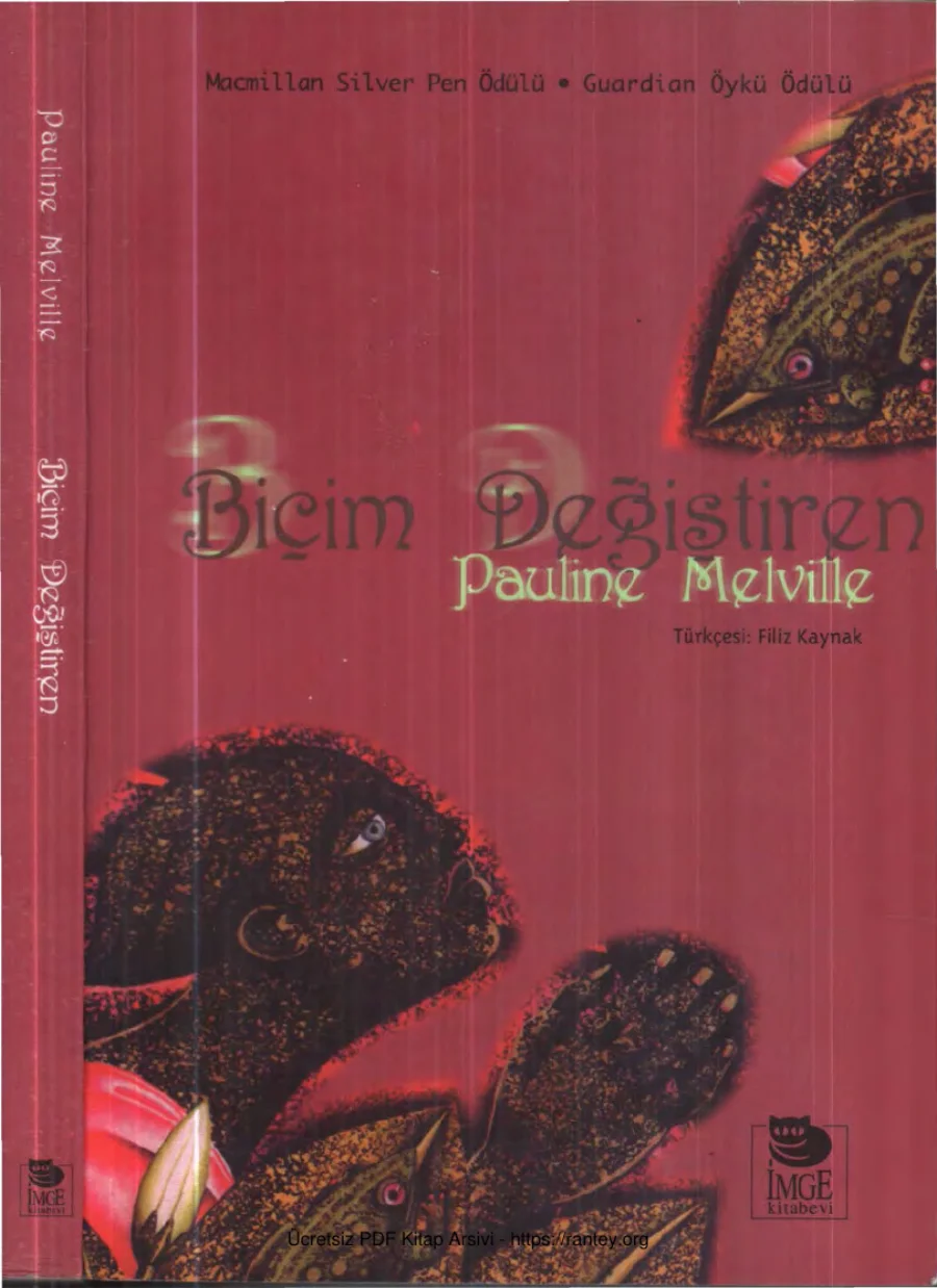 Biçim Değiştiren kapak görseli
