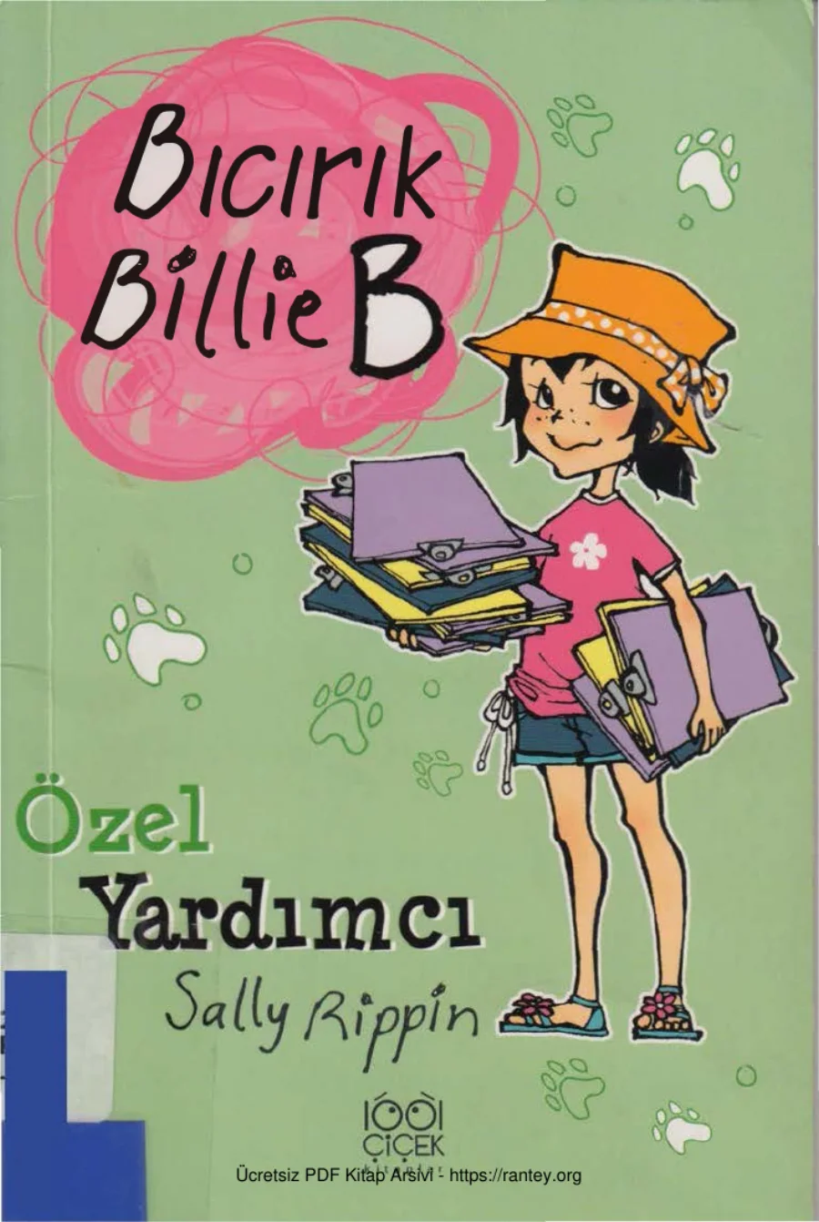 Bıcırık Billie B Ozel Yardımcı cs kapak görseli