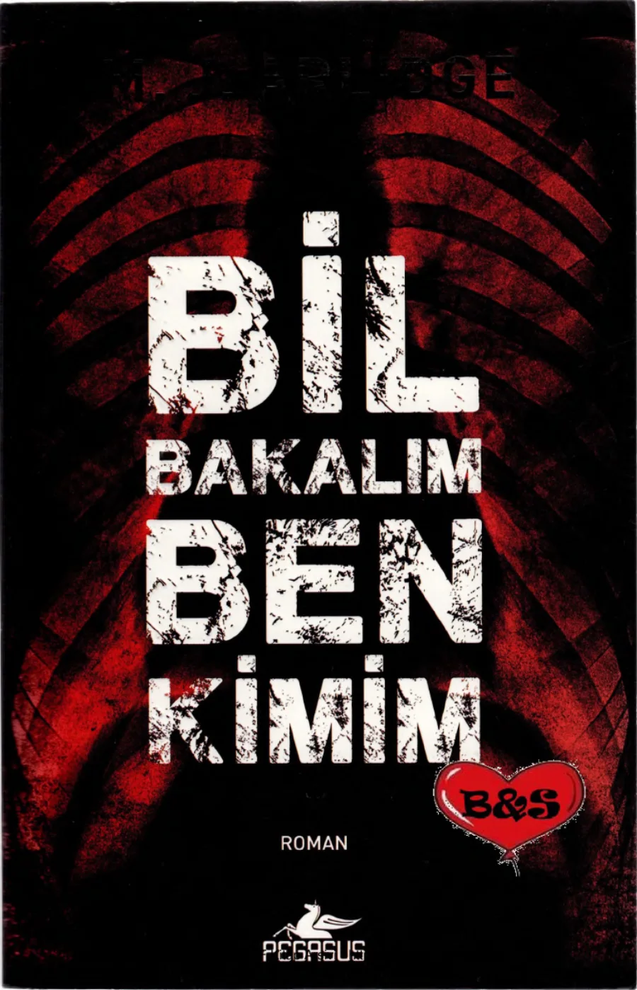 Bil Bakalım Ben Kimim kapak görseli