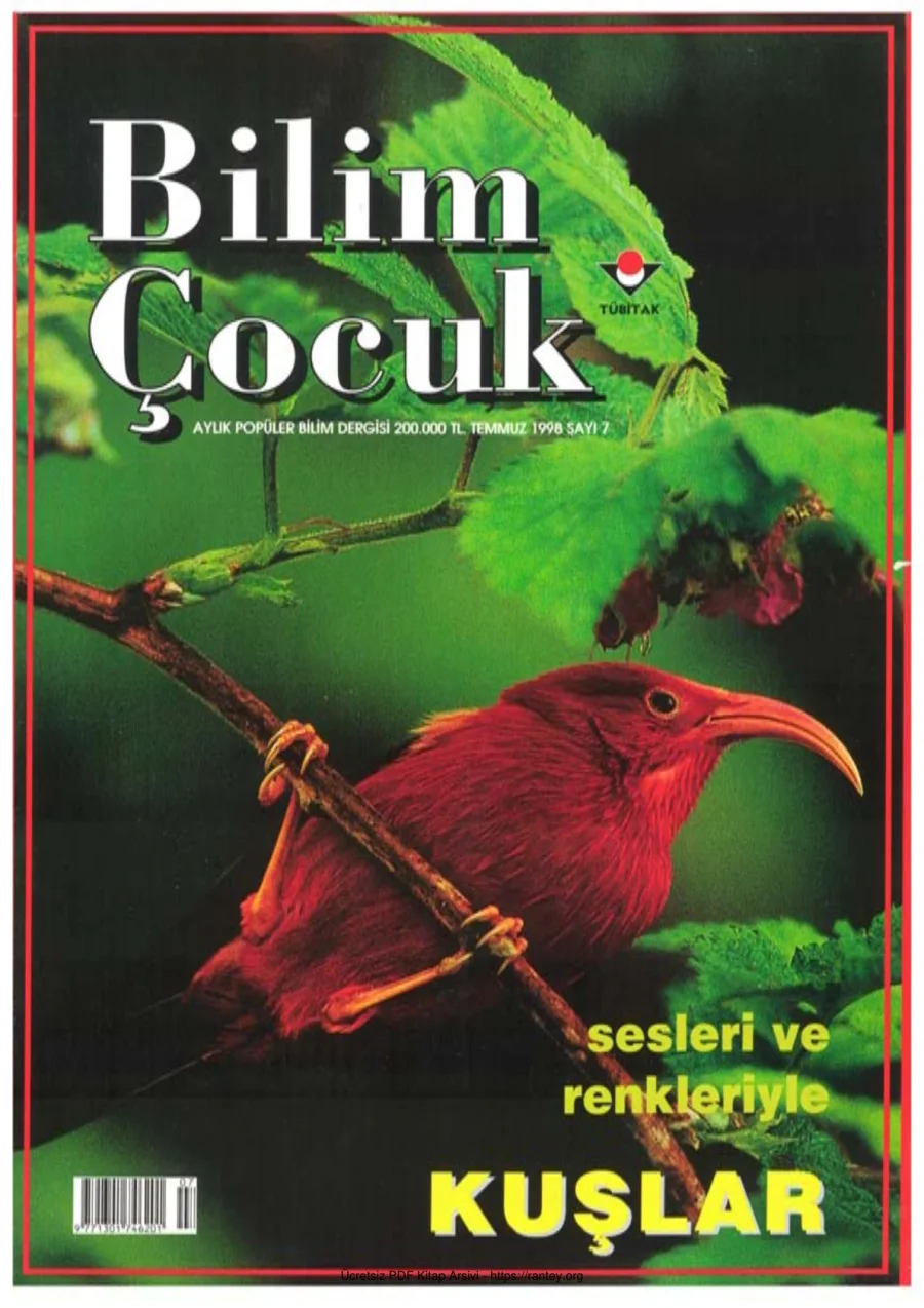 Bilim ve Çocuk Sayı 007 Temmuz 1998 kapak görseli