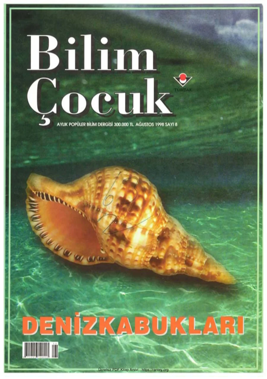 Bilim ve Çocuk Sayı 008 Ağustos 1998 kapak görseli