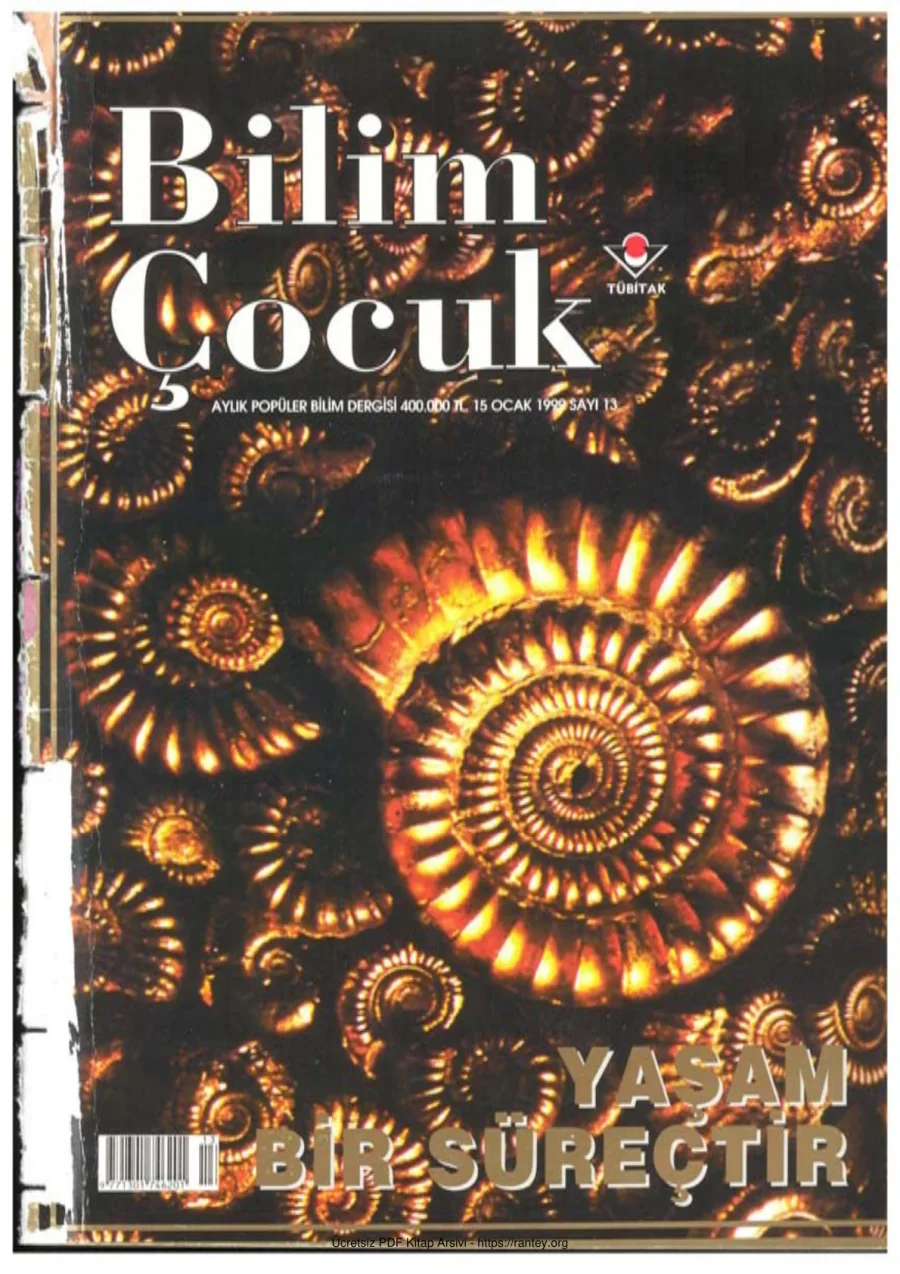 Bilim ve Çocuk Sayı 013 Ocak 1999 kapak görseli