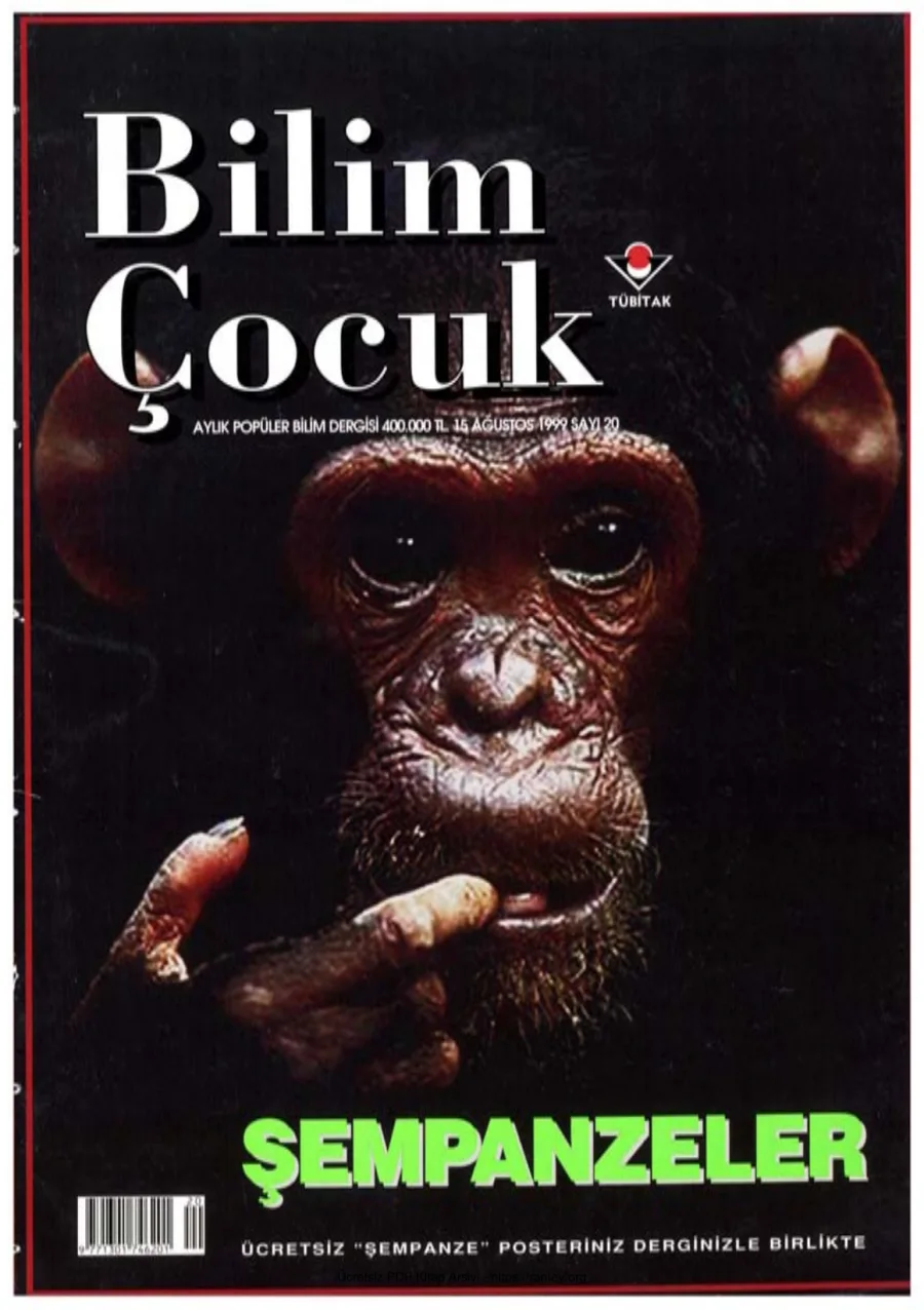 Bilim ve Çocuk Sayı 020 Ağustos 1999 kapak görseli