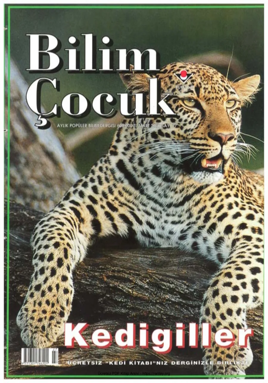 Bilim ve Çocuk Sayı 027 Mart 2000 kapak görseli