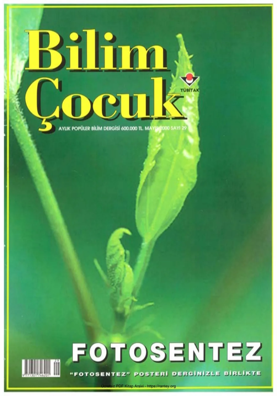 Bilim ve Çocuk Sayı 029 Mayıs 2000 kapak görseli