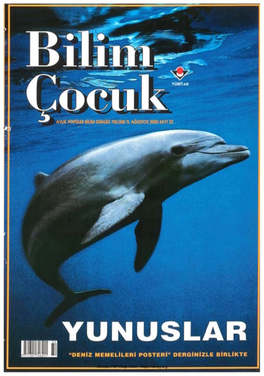 Bilim ve Çocuk Sayı 032 Ağustos 2000 kapak görseli