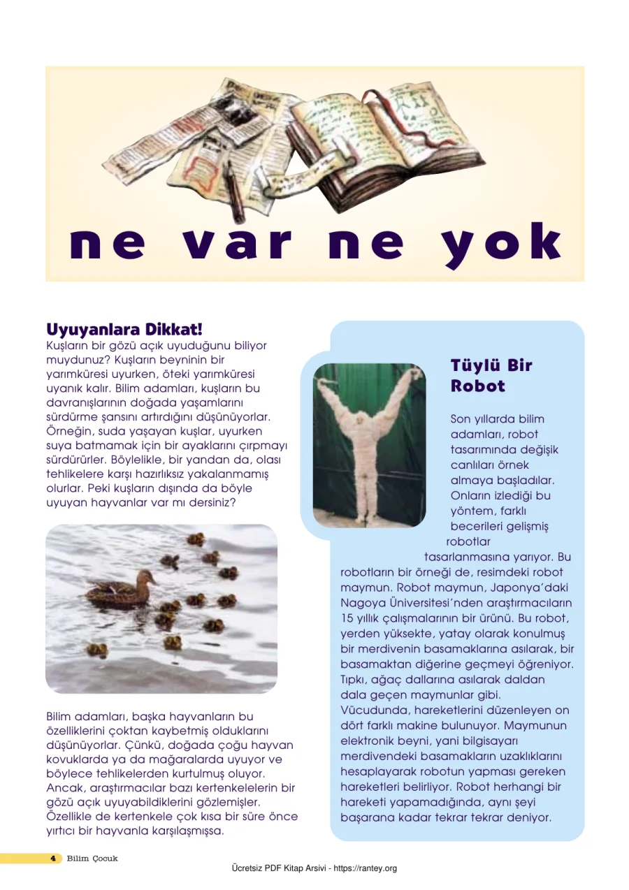 Bilim ve Çocuk Sayı 038 Şubat 2001 kapak görseli
