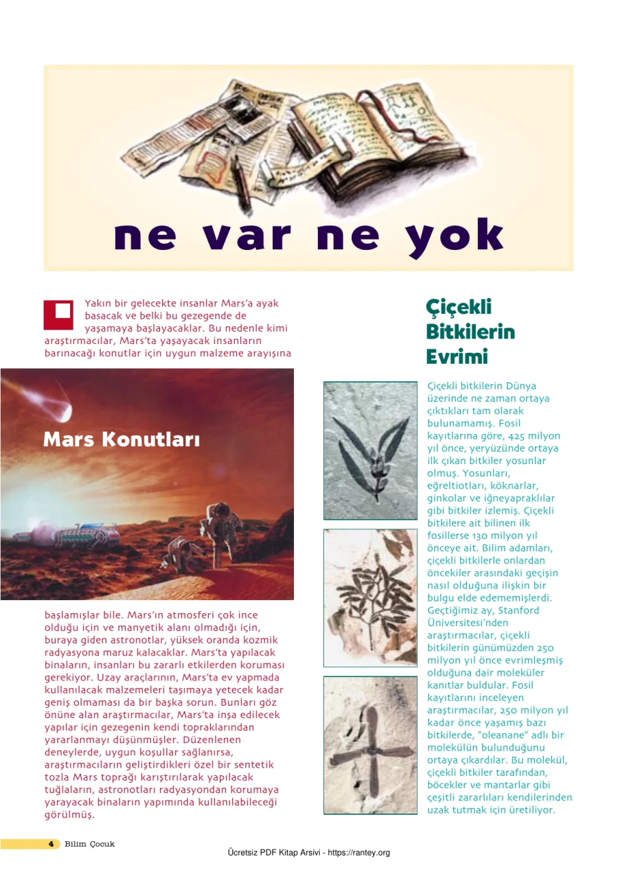 Bilim ve Çocuk Sayı 041 Mayıs 2001 kapak görseli