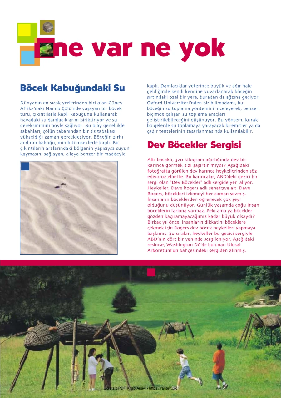 Bilim ve Çocuk Sayı 047 Kasım 2001 kapak görseli