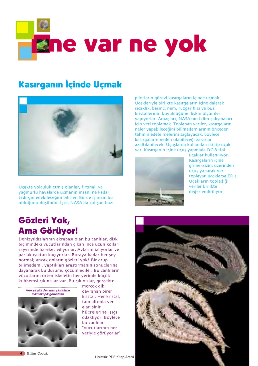 Bilim ve Çocuk Sayı 051 Mart 2002 kapak görseli