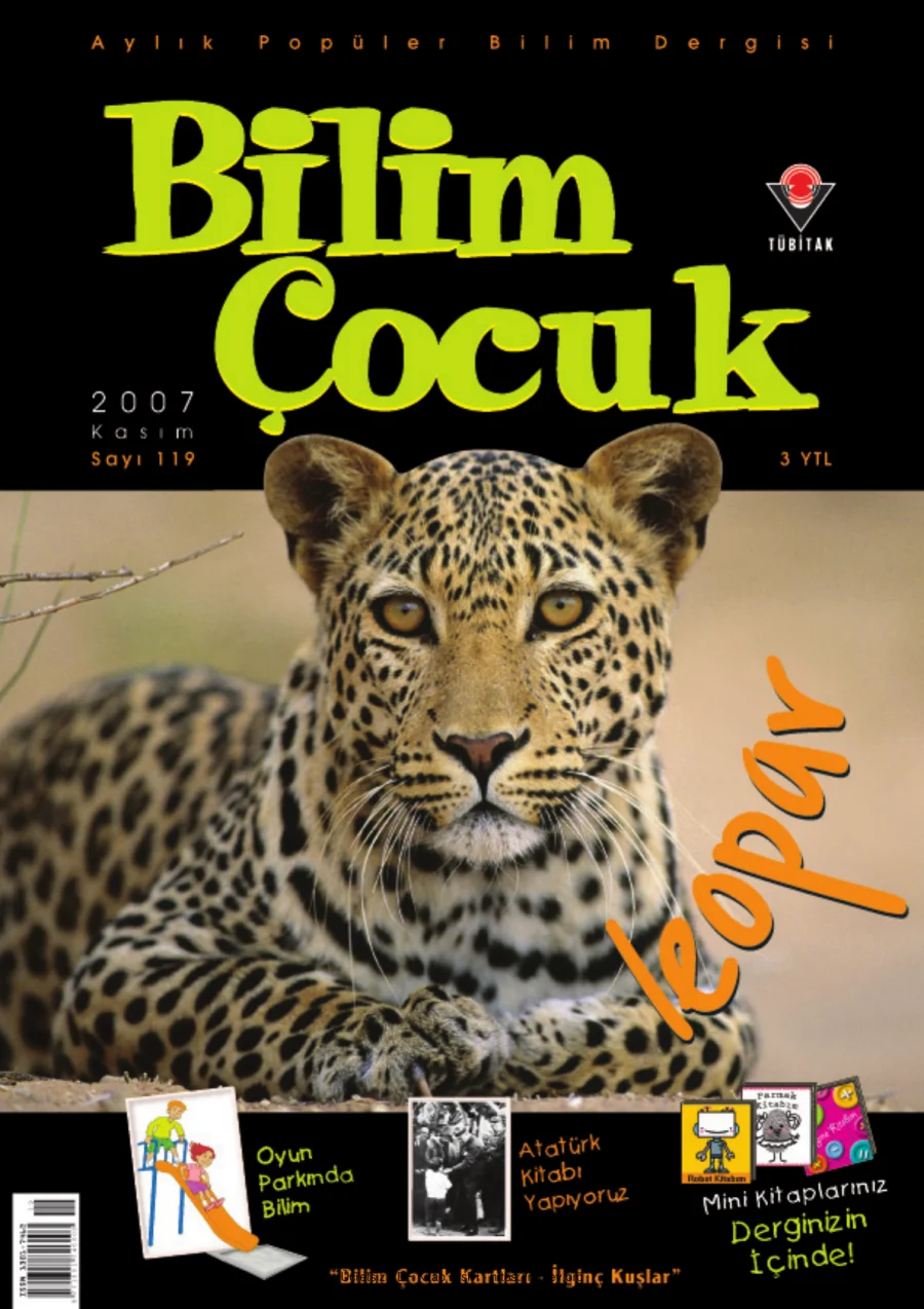 Bilim ve Çocuk Sayı 119 Kasım 2007 kapak görseli