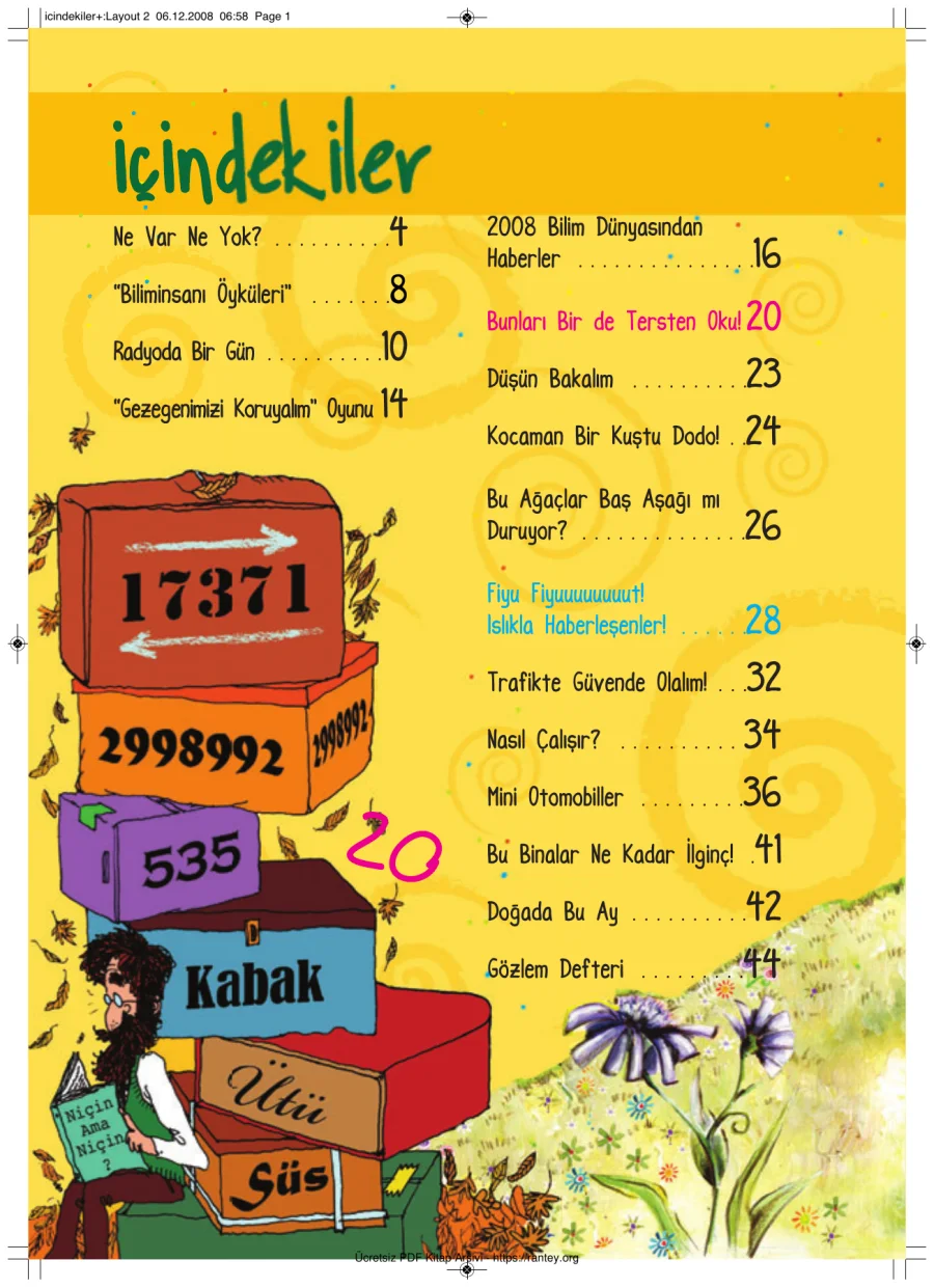 Bilim ve Çocuk Sayı 132 Aralık 2008 kapak görseli