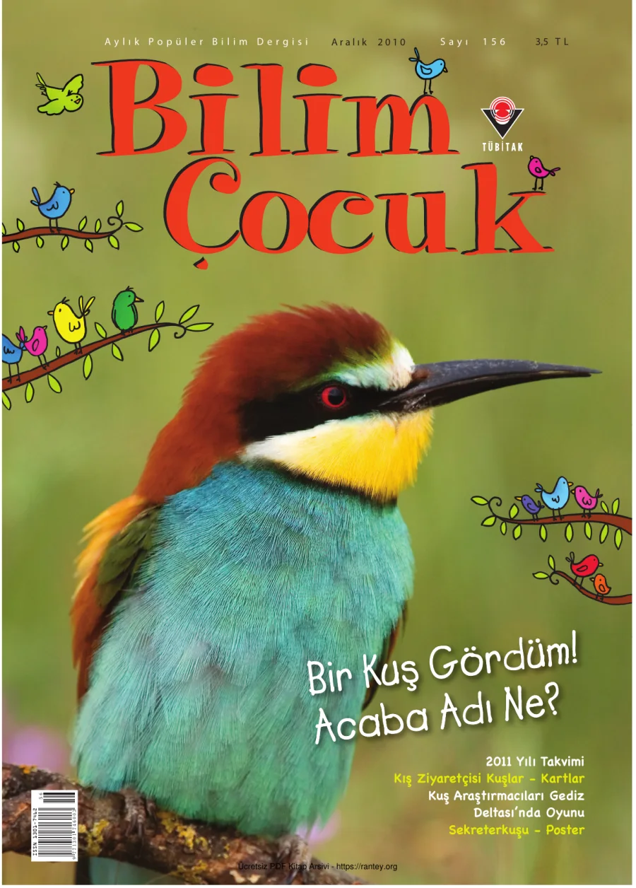 Bilim ve Çocuk Sayı 156 Aralık 2010 kapak görseli