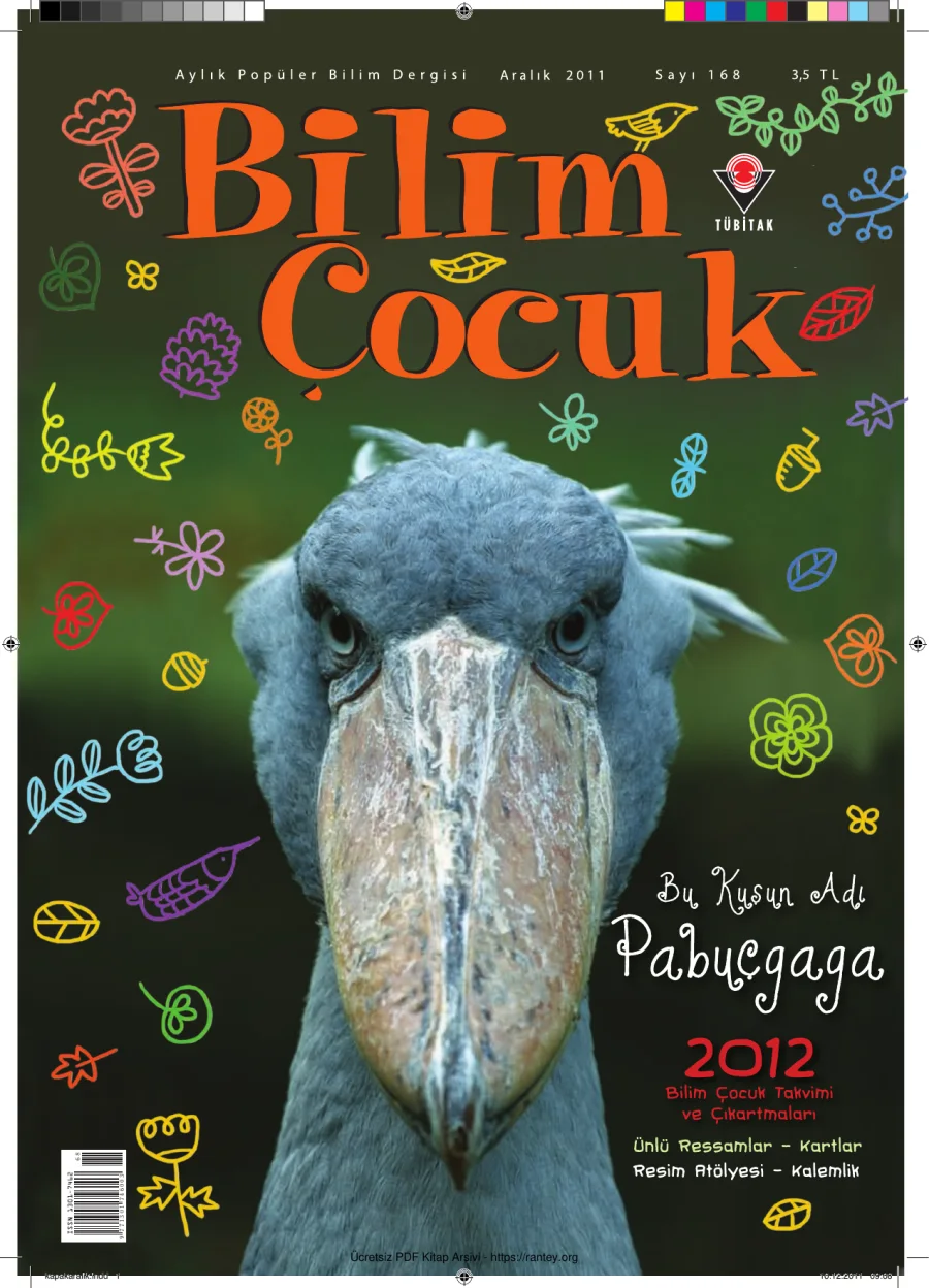 Bilim ve Çocuk Sayı 168 Aralık 2011 kapak görseli