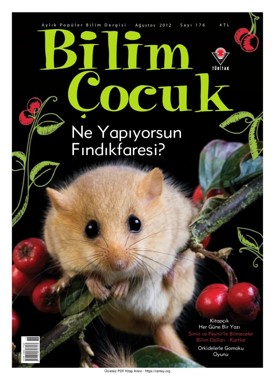 Bilim ve Çocuk Sayı 176 Ağustos 2012 kapak görseli