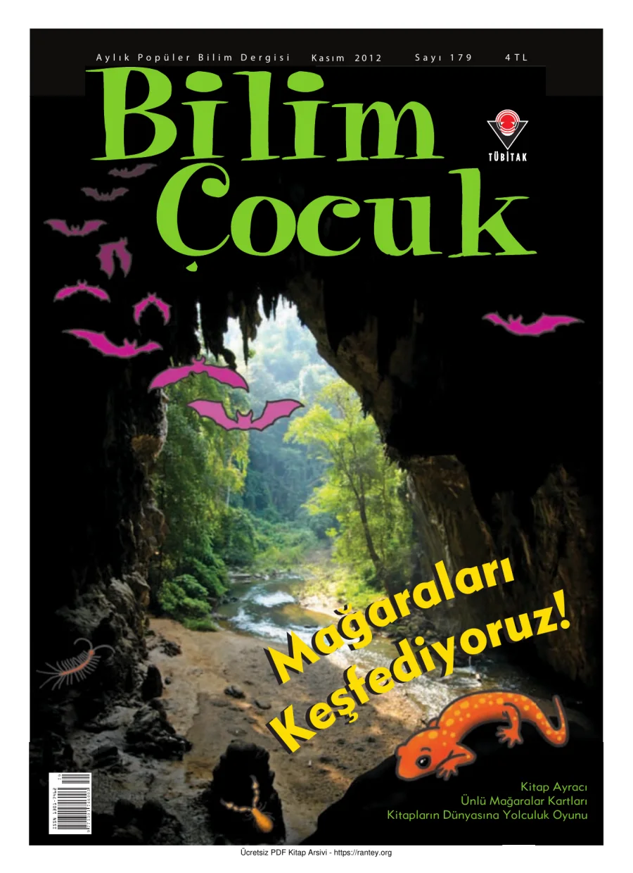 Bilim ve Çocuk Sayı 179 Kasım 2012 kapak görseli