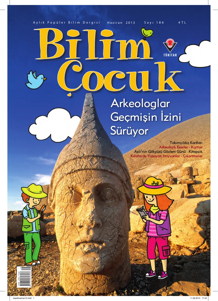 Bilim ve Çocuk Sayı 186 Haziran 2013 kapak görseli