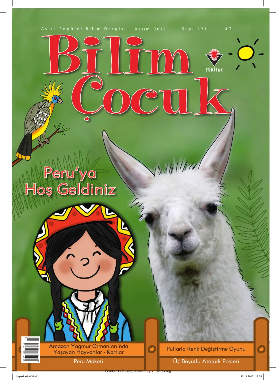 Bilim ve Çocuk Sayı 191 Kasım 2013 kapak görseli