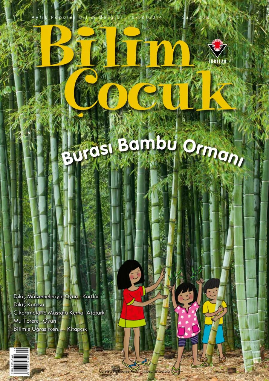 Bilim ve Çocuk Sayı 202 Ekim 2014 kapak görseli