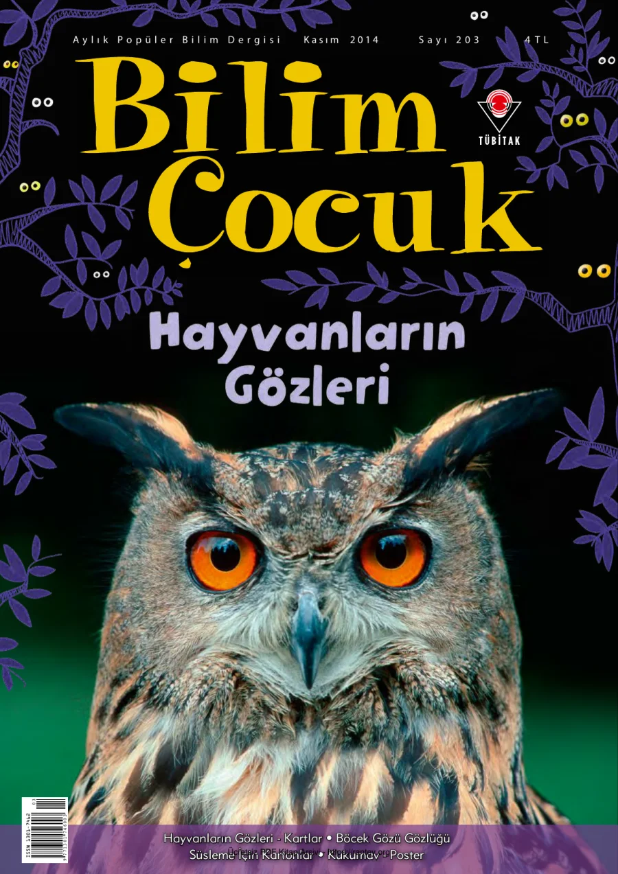 Bilim ve Çocuk Sayı 203 Kasım 2014 kapak görseli