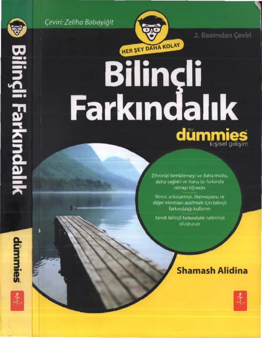 Bilinçli Farkındalık kapak görseli