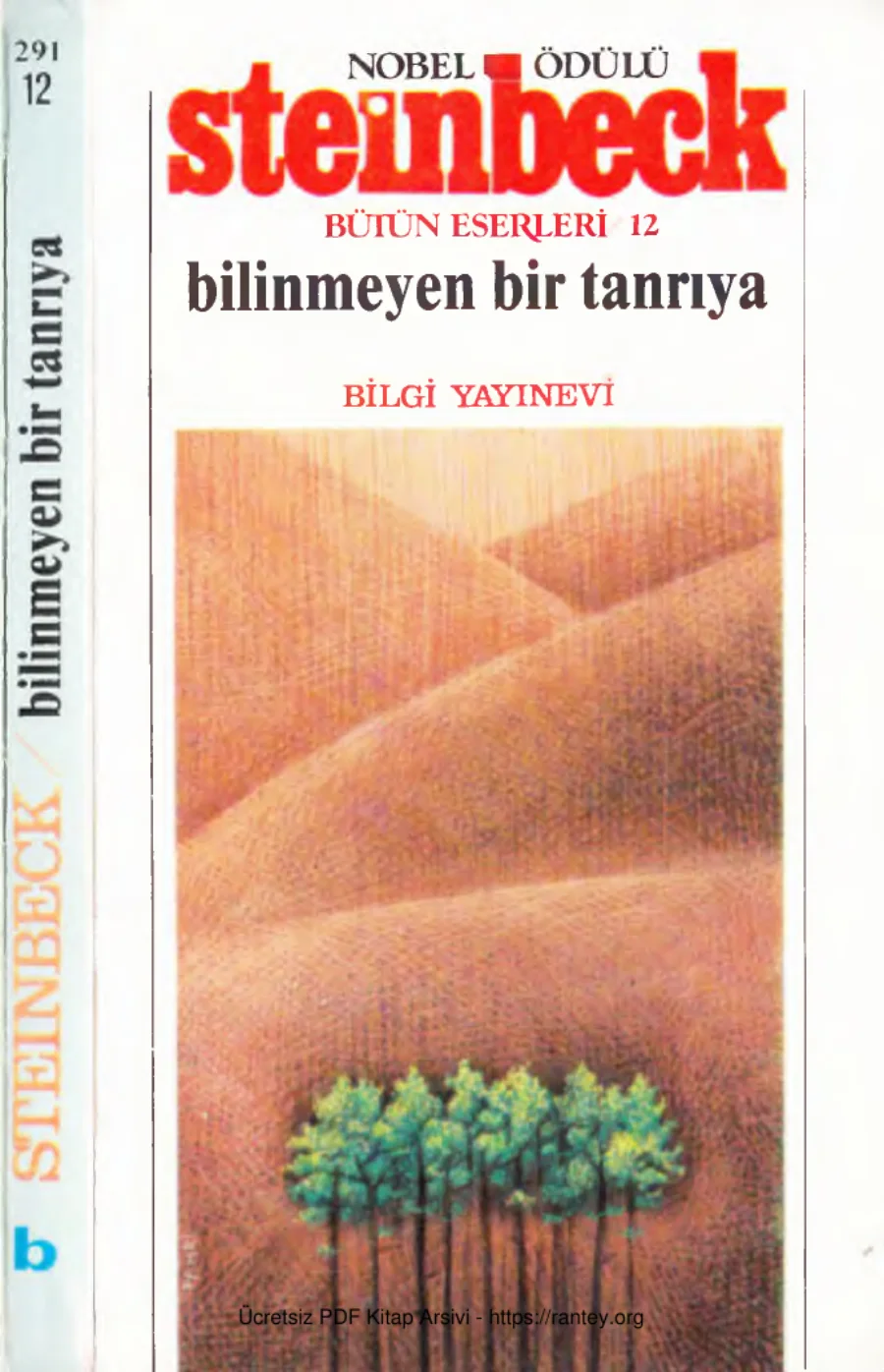 Bilinmeyen Bir Tanrıya kapak görseli