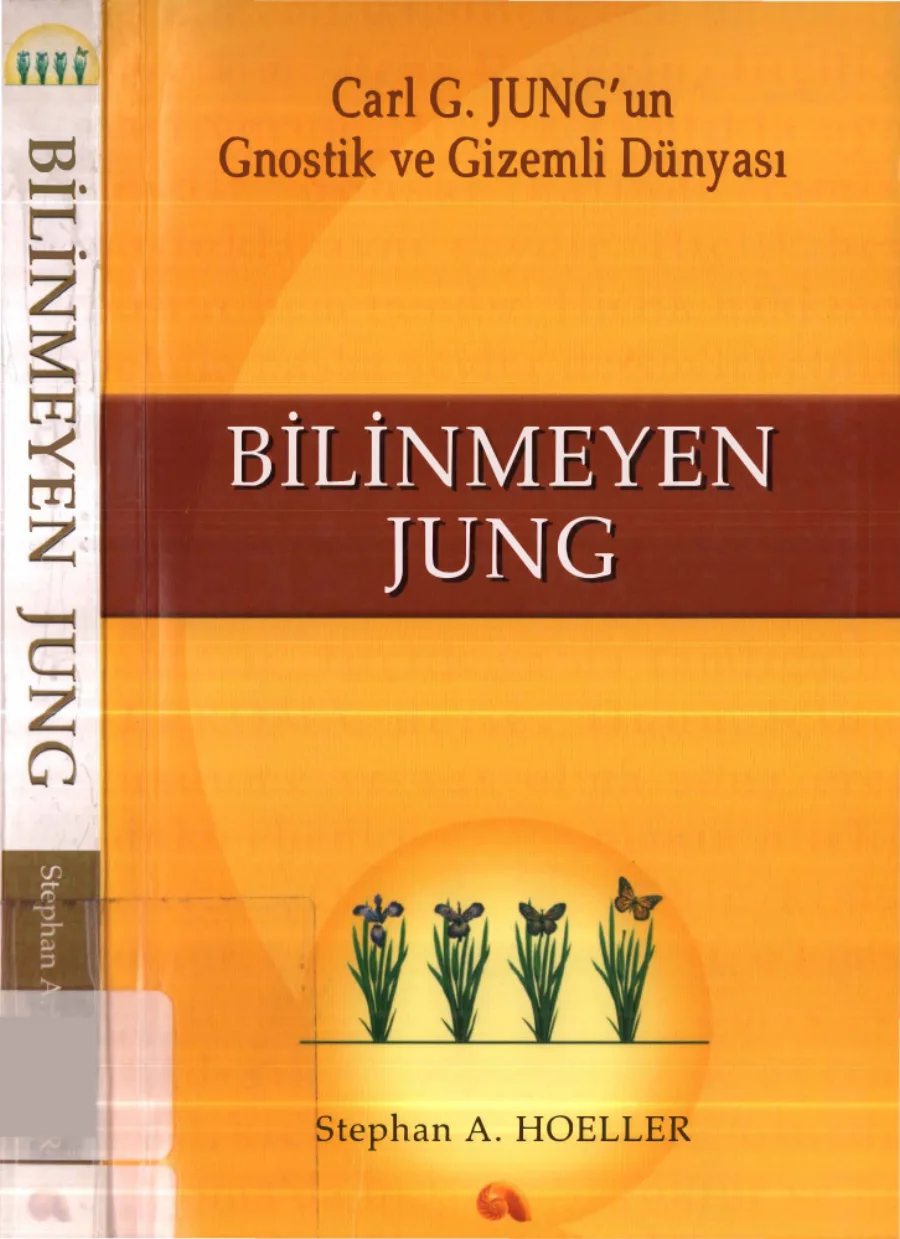 Bilinmeyen Jung Ege Meta Yayınları kapak görseli