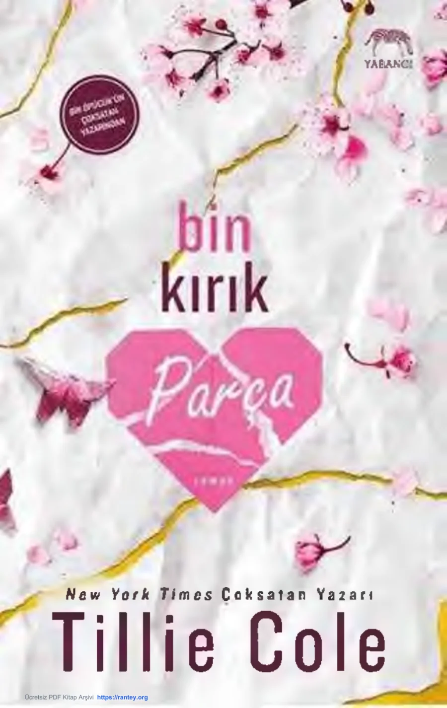 Bin Kırık Parça kapak görseli
