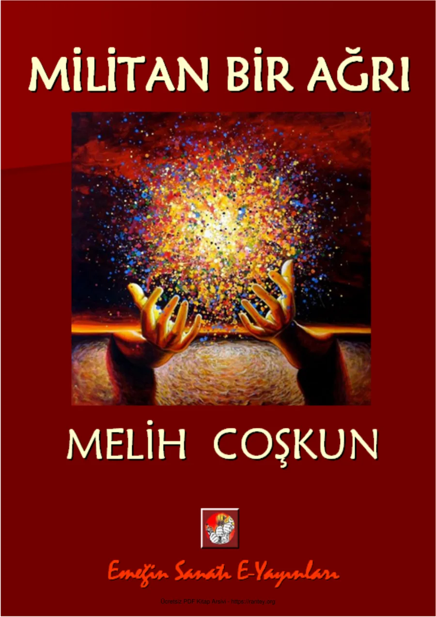 Bir Ağrı kapak görseli