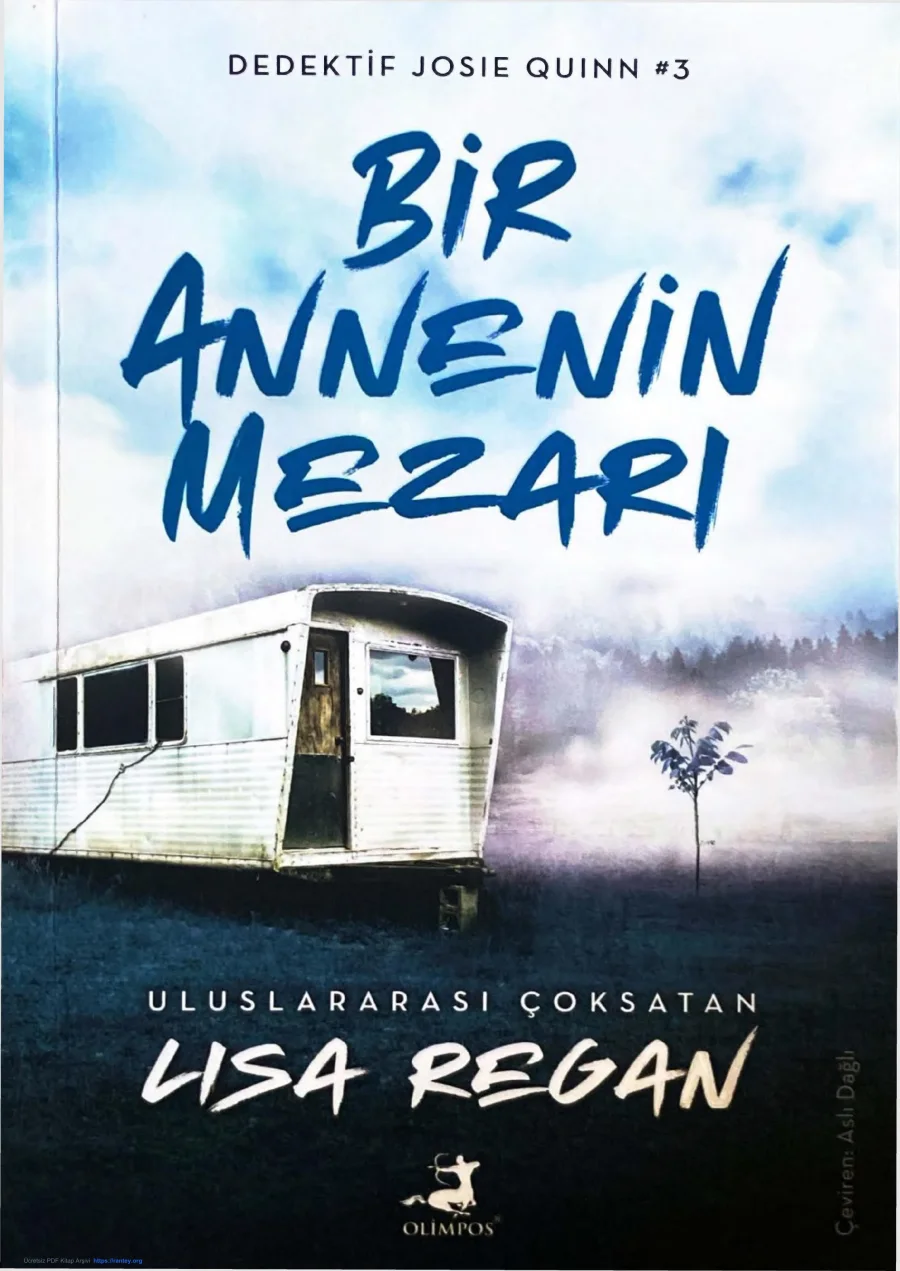 Bir Annenin Mezarı kapak görseli