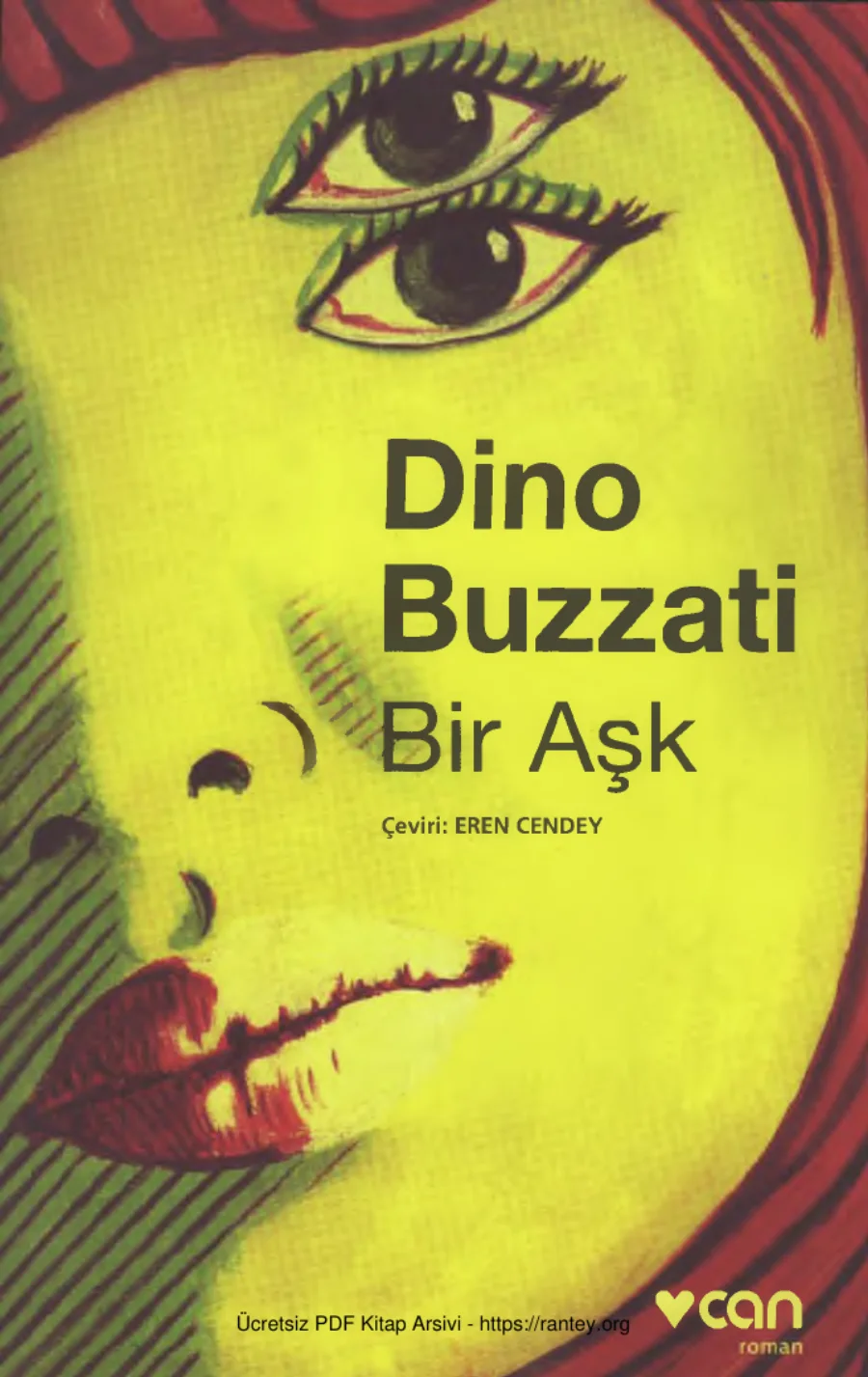 Bir Aşk kapak görseli