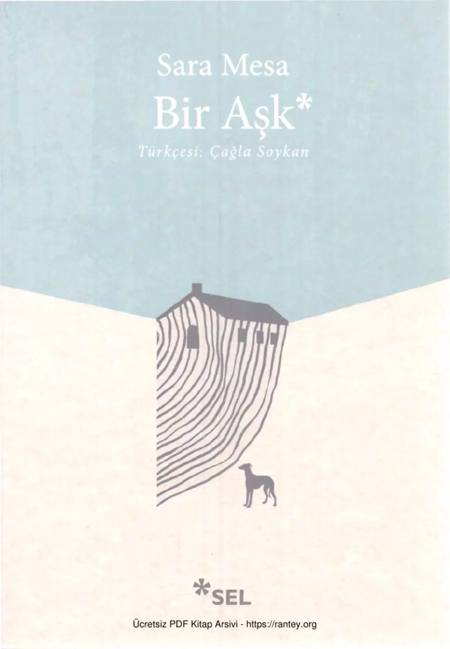 Bir Aşk kapak görseli