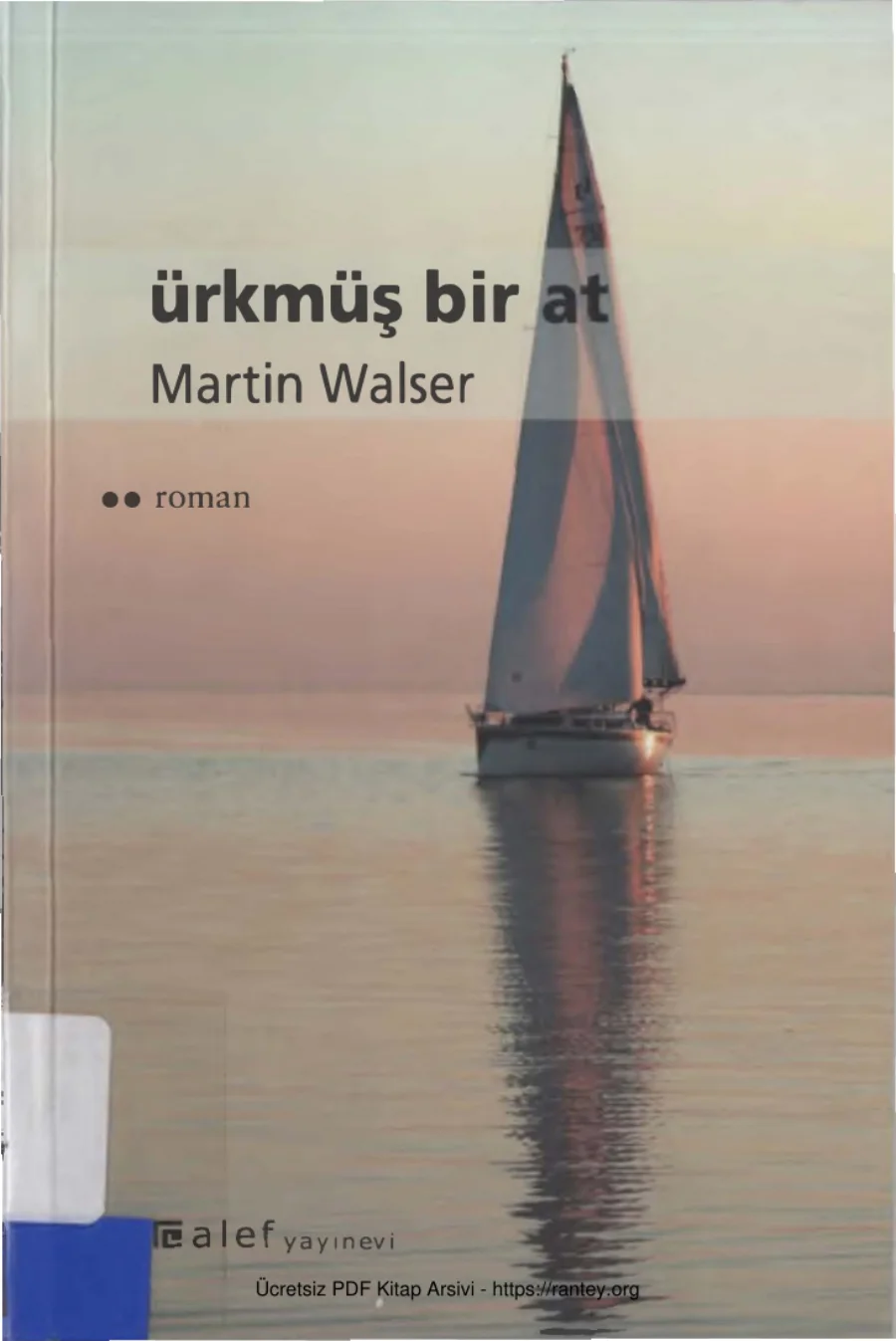Bir At kapak görseli