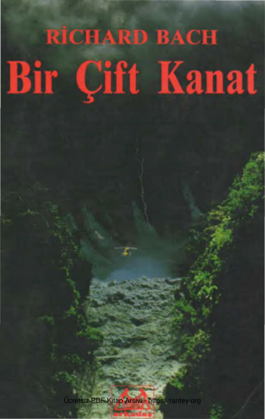 Bir Çift Kanat kapak görseli