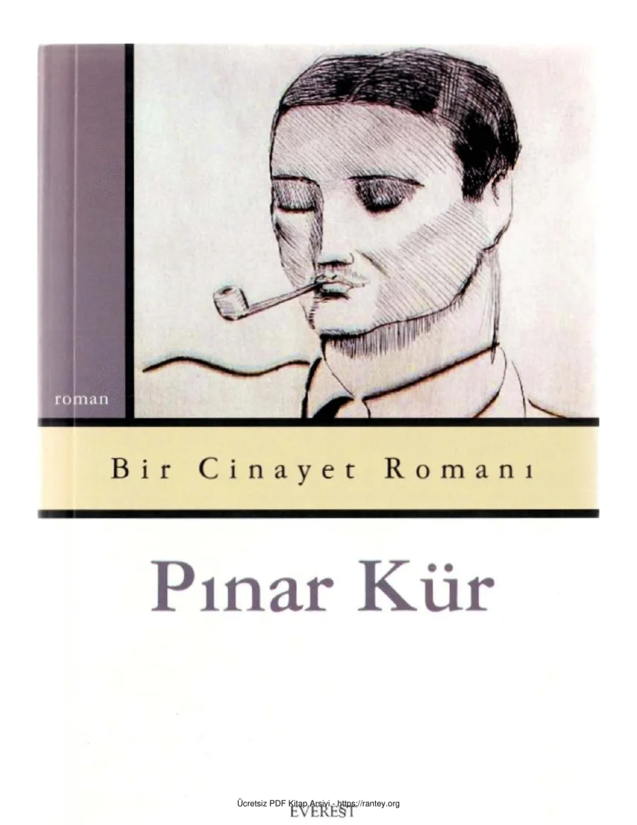 Bir Cinayet Romanı kapak görseli