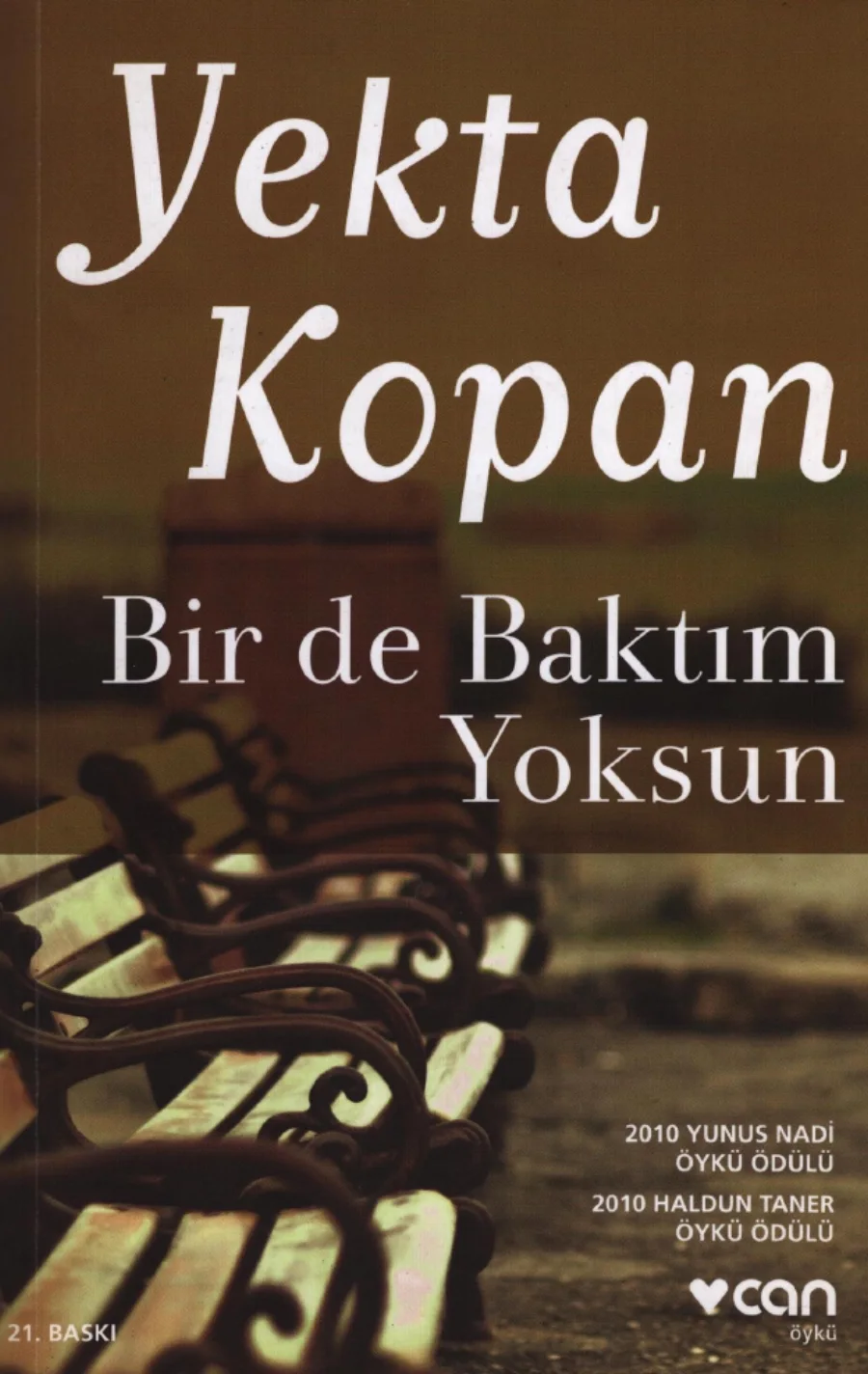 Bir De Baktım Yoksun kitap kapağı